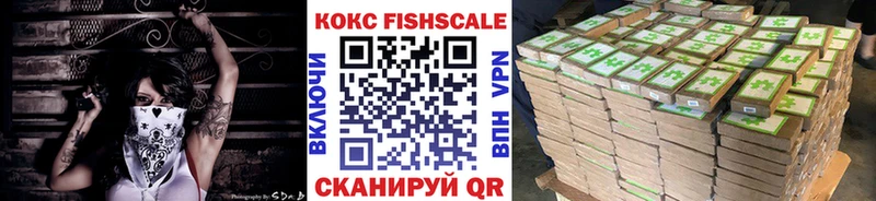 как найти Заволжск COCAIN 98%